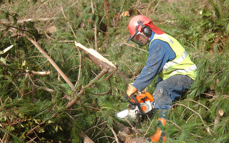 WorkSafe New Zealand to focus on managing risks that cause most serious harm